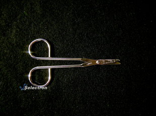 Scissors (item #13)