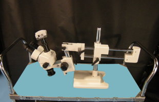 Microscope (item #186)