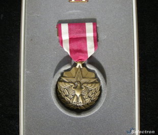 USA Service Medal (item #207)